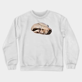 Boa Snake Head / Swiss Artwork Photography Crewneck Sweatshirt